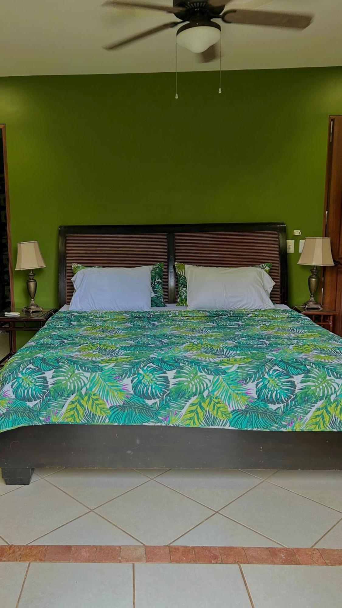Villa Vista Mar โดมินิกัล ภายนอก รูปภาพ